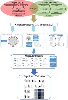 Potential Mechanism of Dingji Fumai Decoction Against Atrial Fibrillation Based on Network Pharmacology, Molecular Docking, and Experimental Verification Integration Strategy